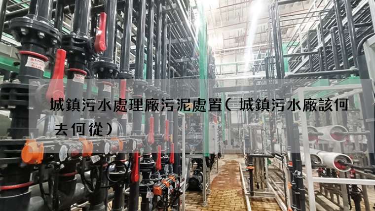 城鎮污水處理廠污泥處置(城鎮污水廠該何去何從)